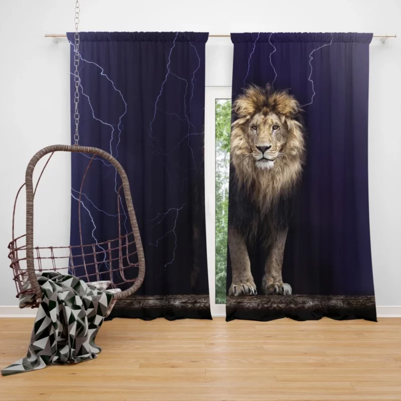 Lion Majestic Roar Curtain