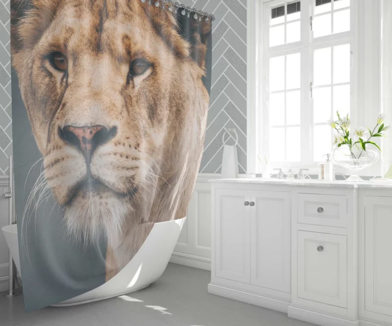 Lion Majestic Shower Curtain 1