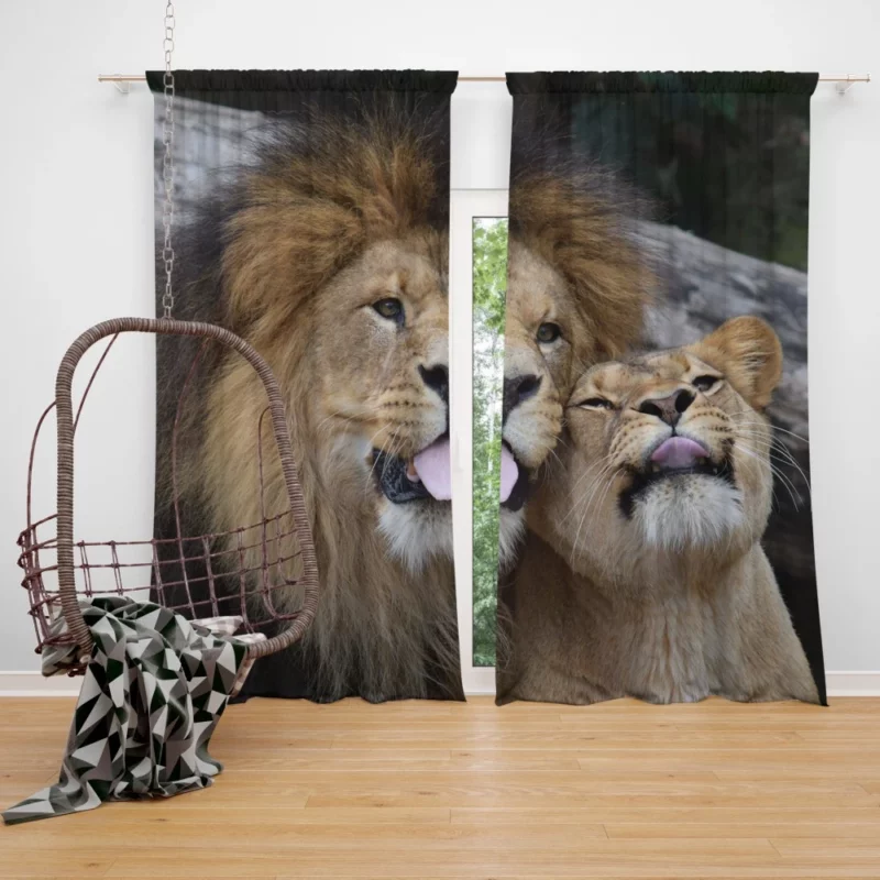 Lion Majestic Stance King of Wilderness Curtain