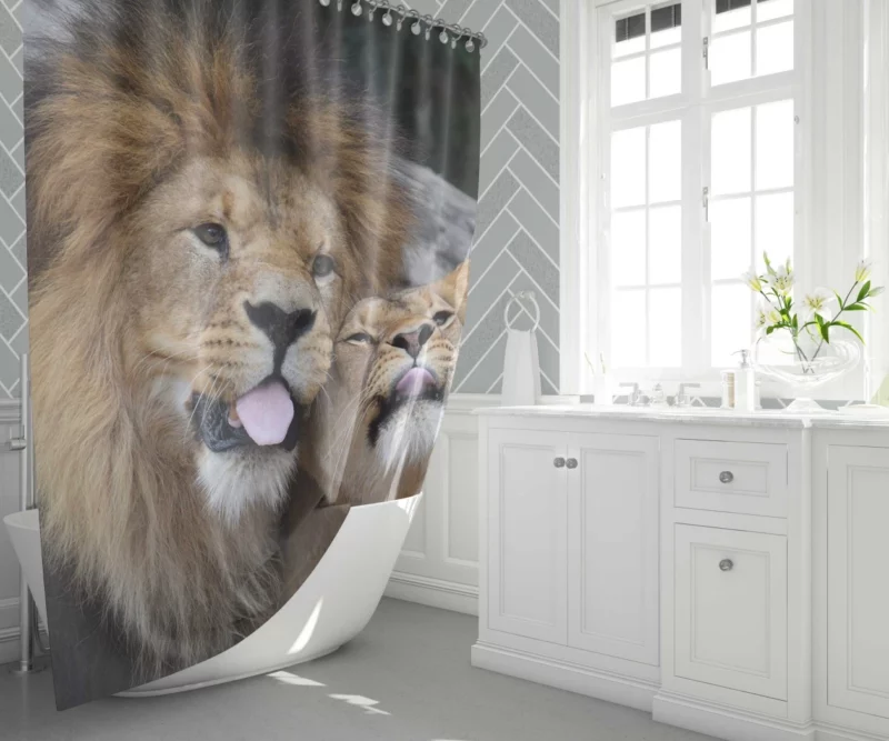 Lion Majestic Stance King of Wilderness Shower Curtain 1