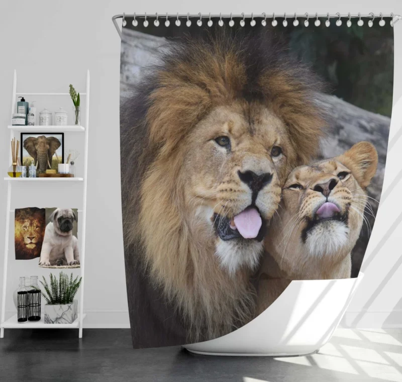 Lion Majestic Stance King of Wilderness Shower Curtain