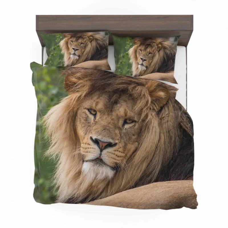 Lion Majestic Stare Black & White Serenity Bedding Set 1