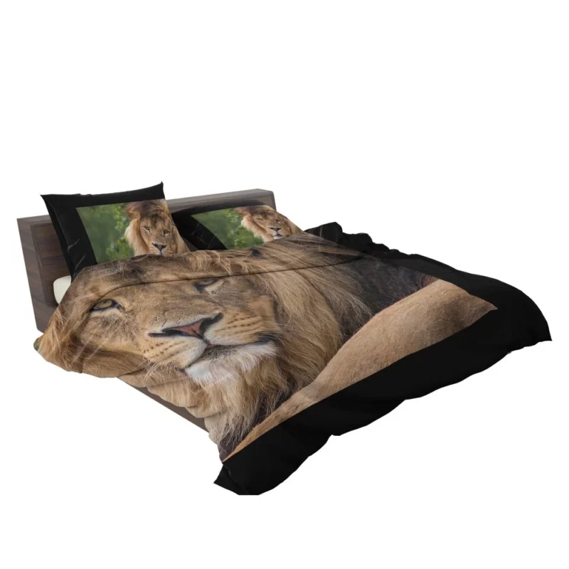 Lion Majestic Stare Black & White Serenity Bedding Set 2