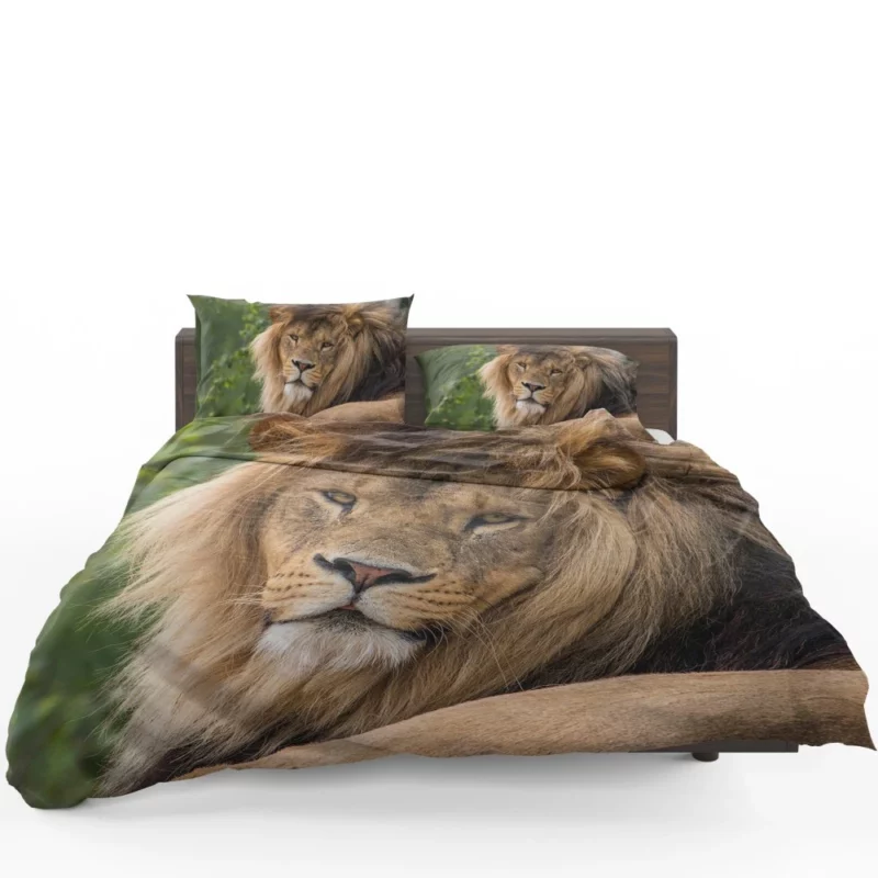 Lion Majestic Stare Black & White Serenity Bedding Set