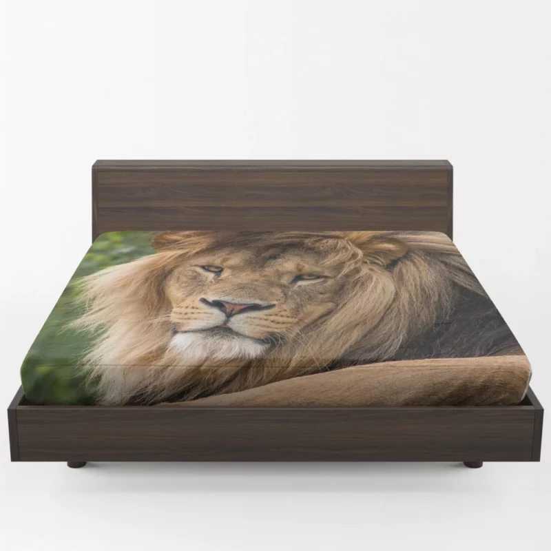 Lion Majestic Stare Black & White Serenity Fitted Sheet