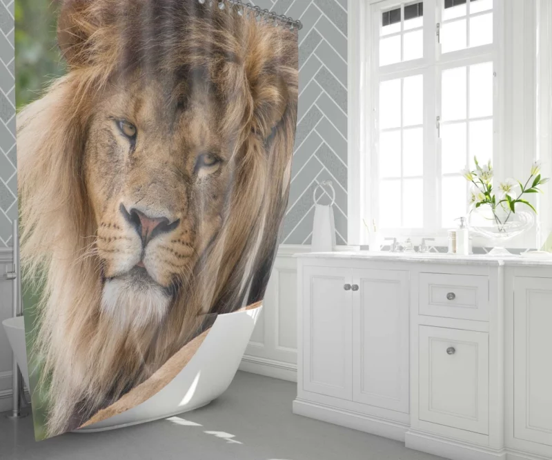 Lion Majestic Stare Black & White Serenity Shower Curtain 1