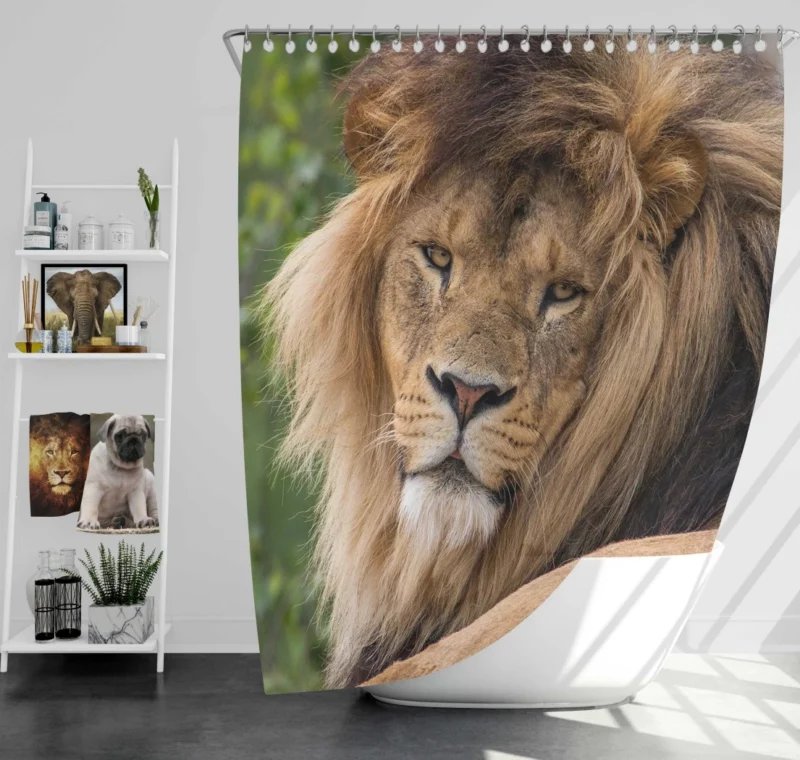 Lion Majestic Stare Black & White Serenity Shower Curtain