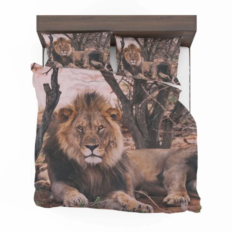 Lion Majestic Stare Regal Dominance Bedding Set 1