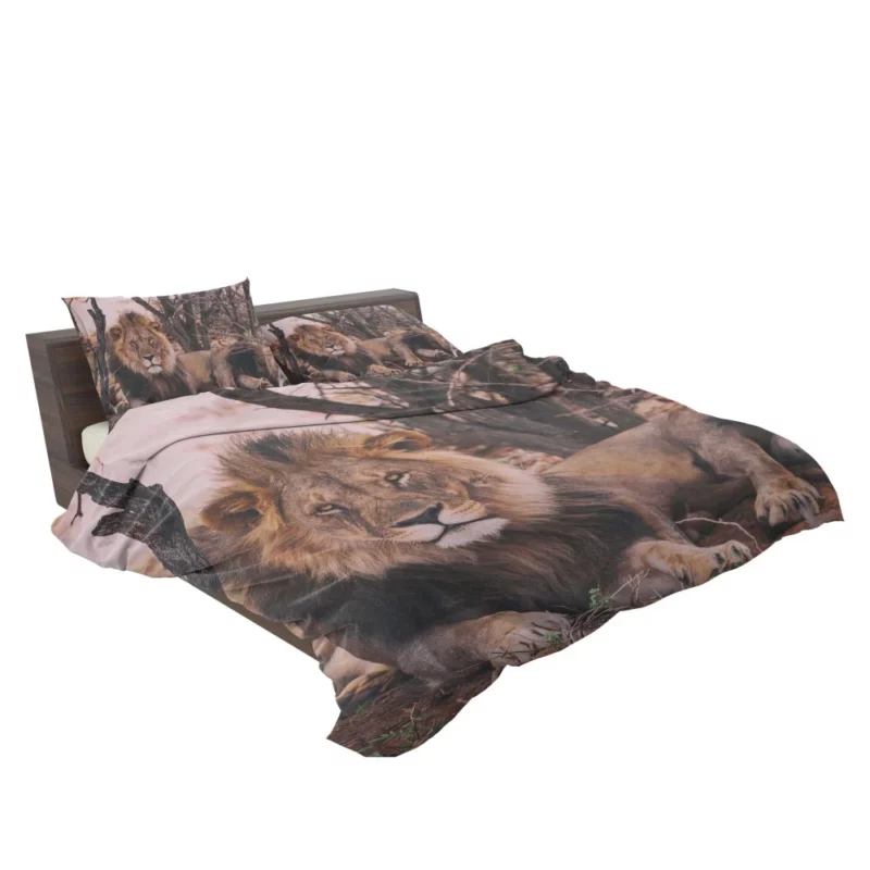 Lion Majestic Stare Regal Dominance Bedding Set 2