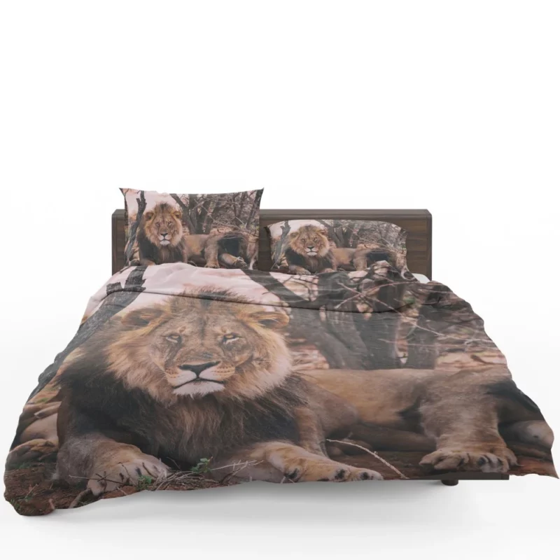 Lion Majestic Stare Regal Dominance Bedding Set