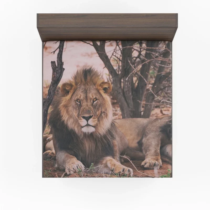 Lion Majestic Stare Regal Dominance Fitted Sheet 1