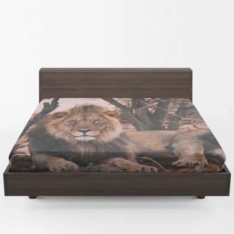 Lion Majestic Stare Regal Dominance Fitted Sheet