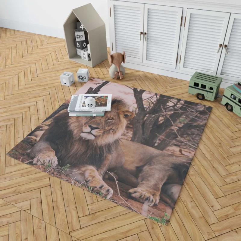 Lion Majestic Stare Regal Dominance Rug 1