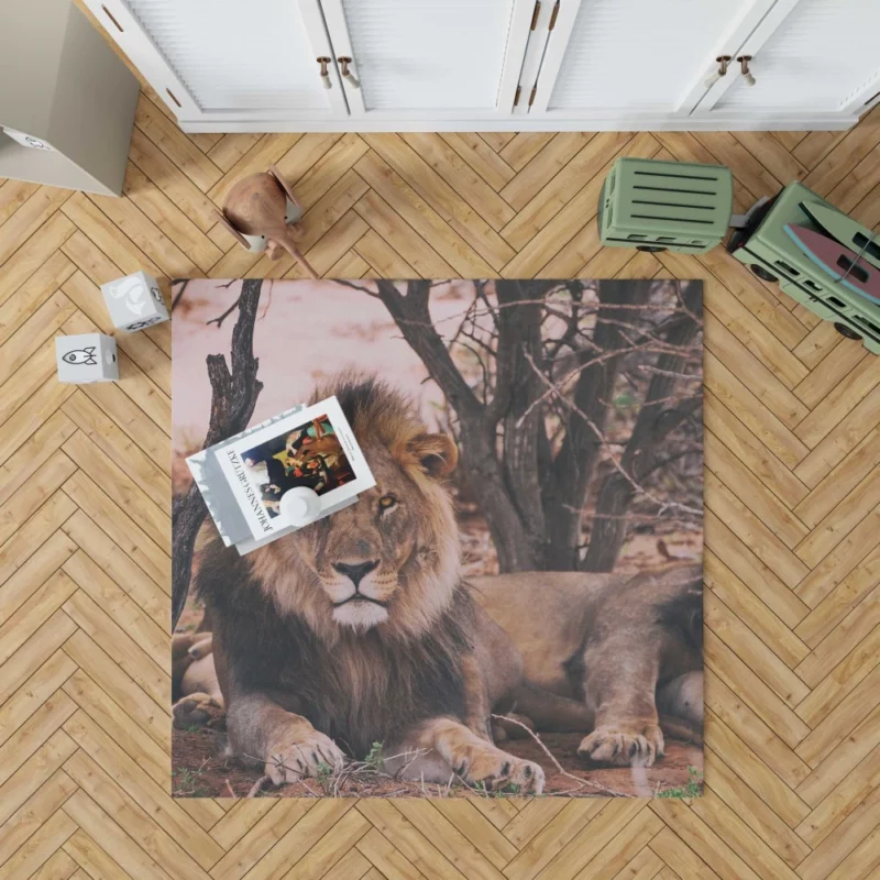 Lion Majestic Stare Regal Dominance Rug