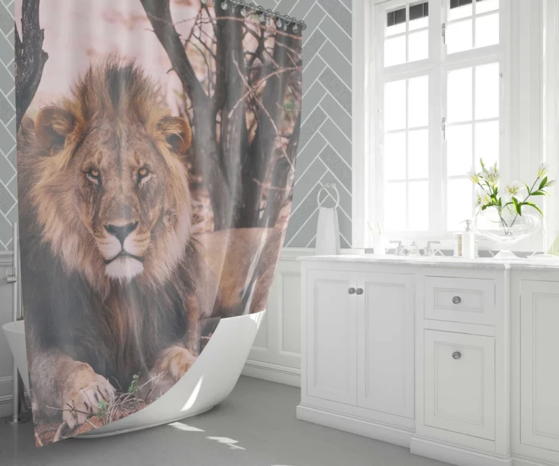 Lion Majestic Stare Regal Dominance Shower Curtain 1