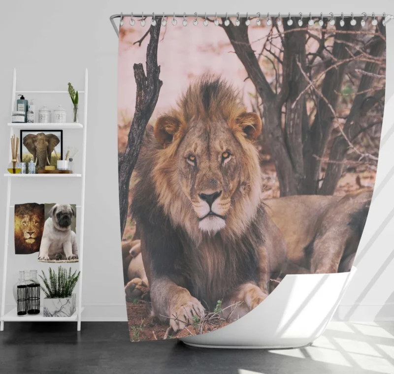 Lion Majestic Stare Regal Dominance Shower Curtain