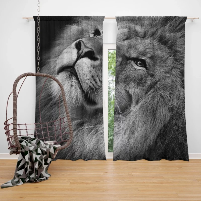 Lion Majestic Stare Timeless Elegance Curtain