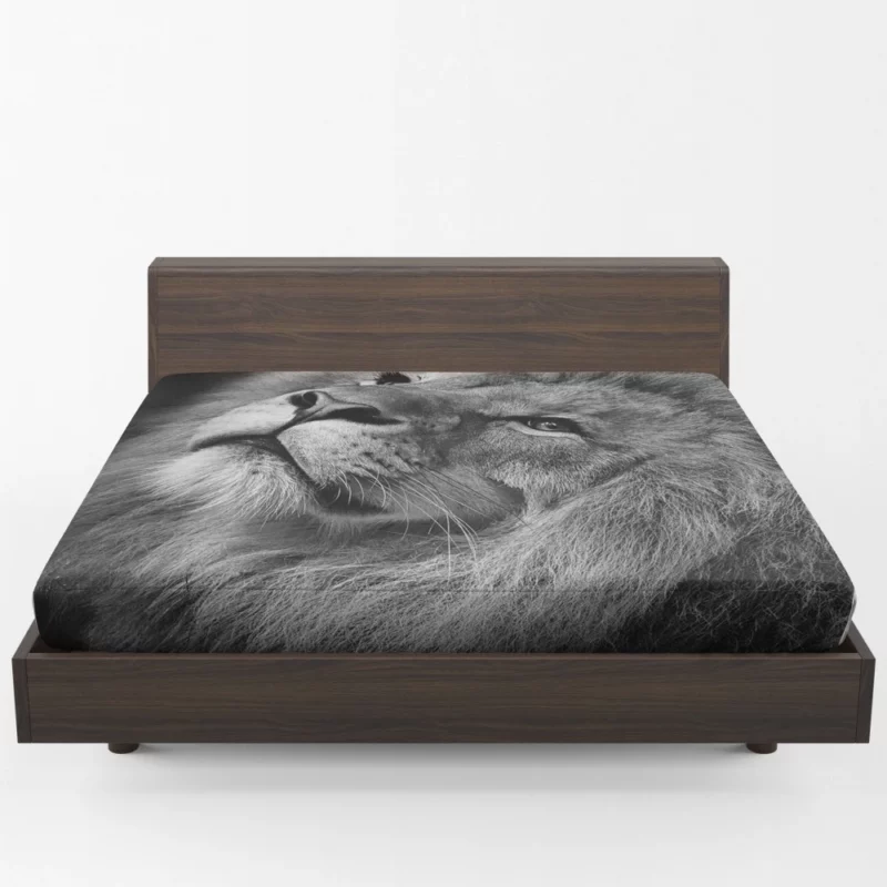 Lion Majestic Stare Timeless Elegance Fitted Sheet