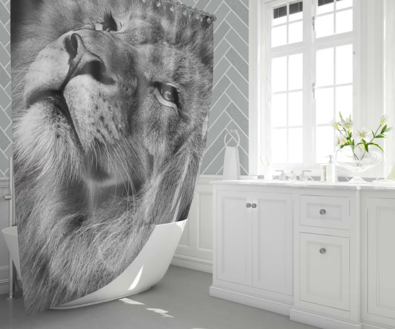 Lion Majestic Stare Timeless Elegance Shower Curtain 1