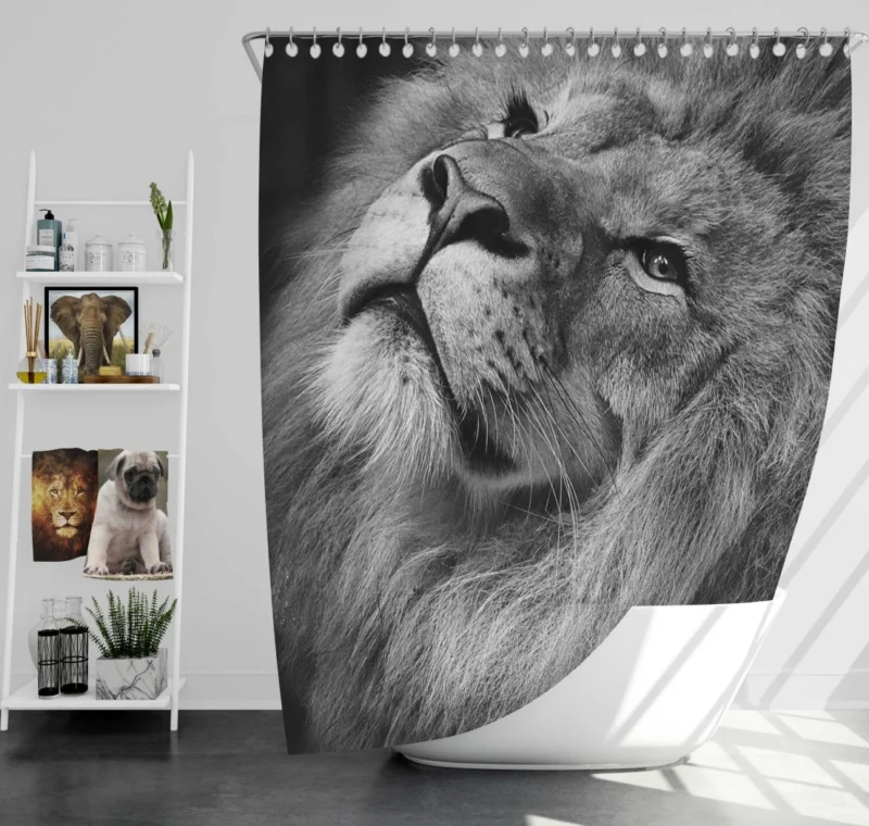 Lion Majestic Stare Timeless Elegance Shower Curtain