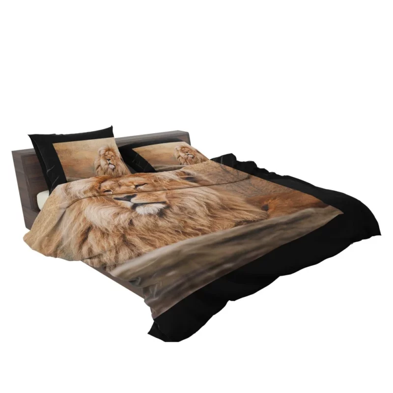 Lion Majesty Bedding Set 2