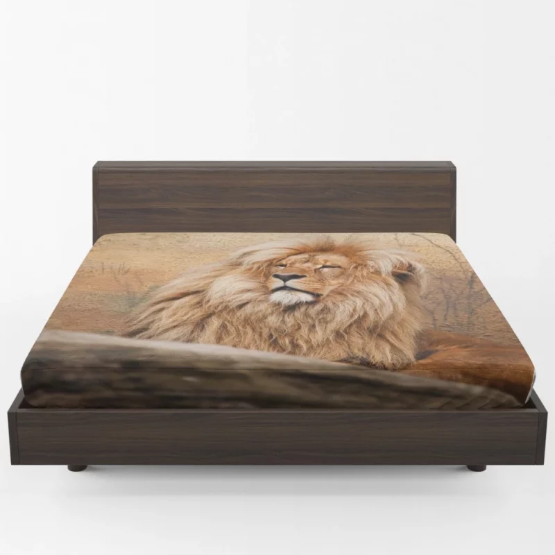 Lion Majesty Fitted Sheet