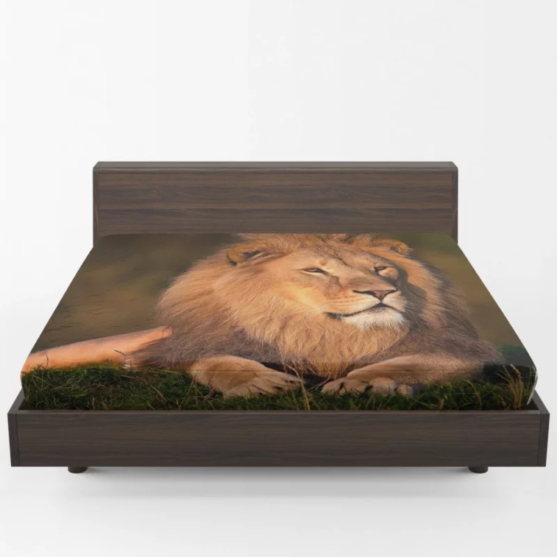 Lion Majesty Regal Essence Fitted Sheet