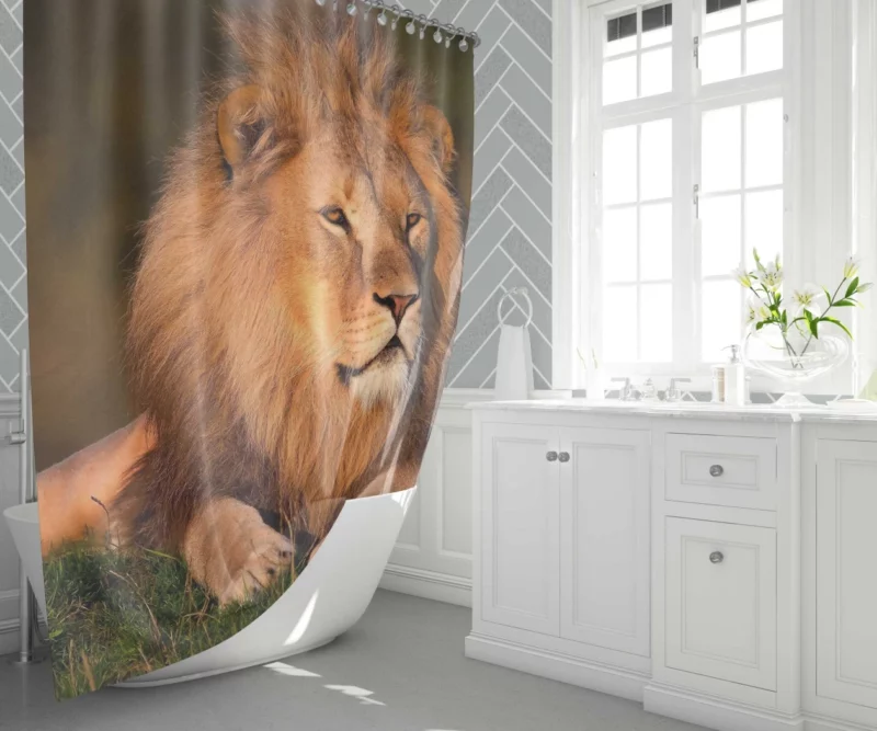 Lion Majesty Regal Essence Shower Curtain 1