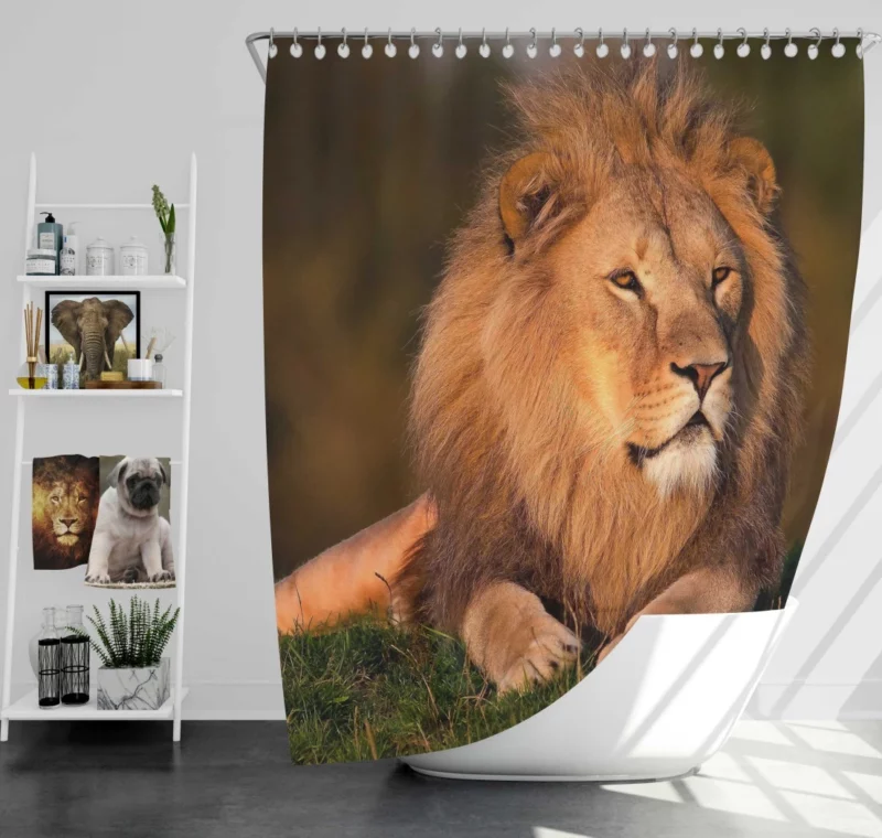 Lion Majesty Regal Essence Shower Curtain