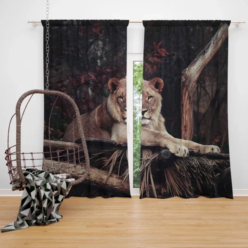 Lion Majesty Roaring Wilderness King Curtain