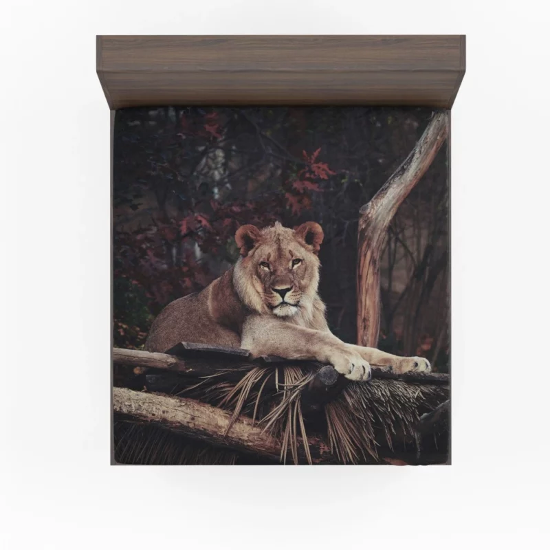 Lion Majesty Roaring Wilderness King Fitted Sheet 1