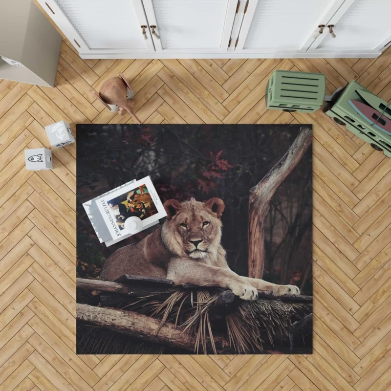 Lion Majesty Roaring Wilderness King Rug