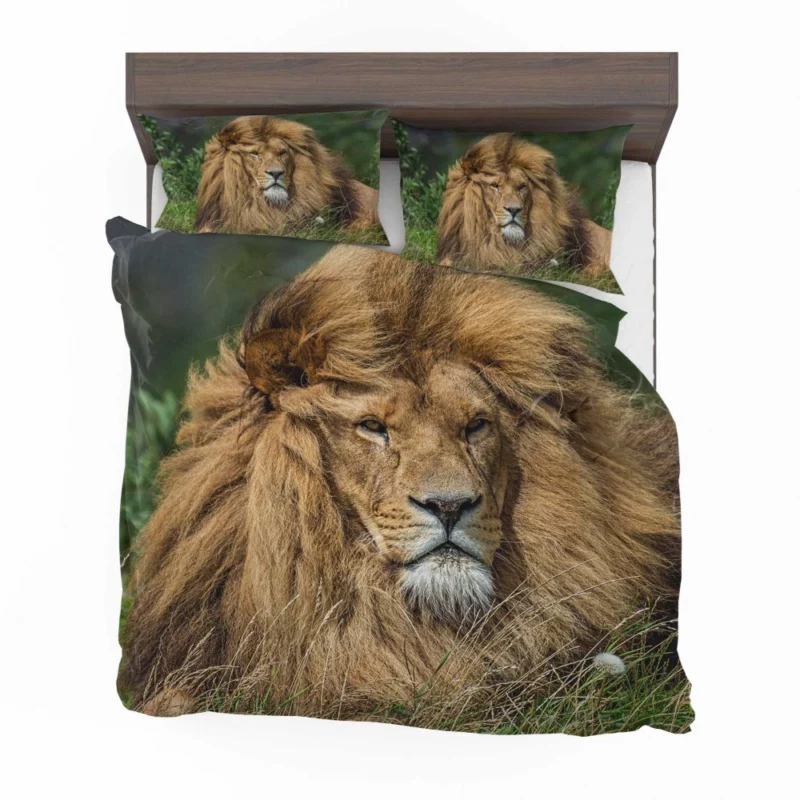 Lion Migratory Bedding Set 1