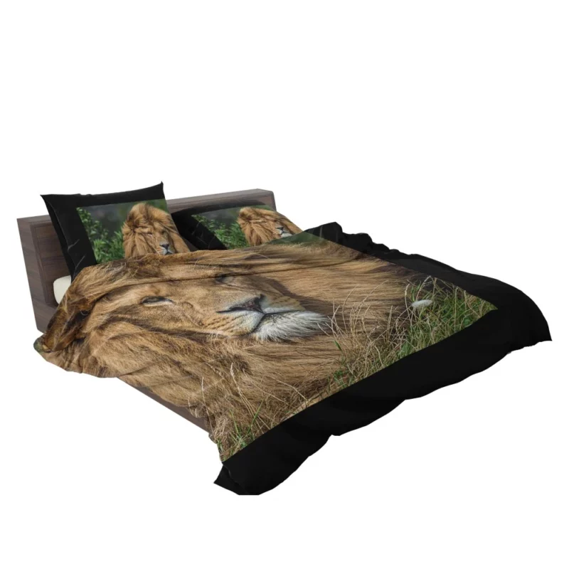 Lion Migratory Bedding Set 2