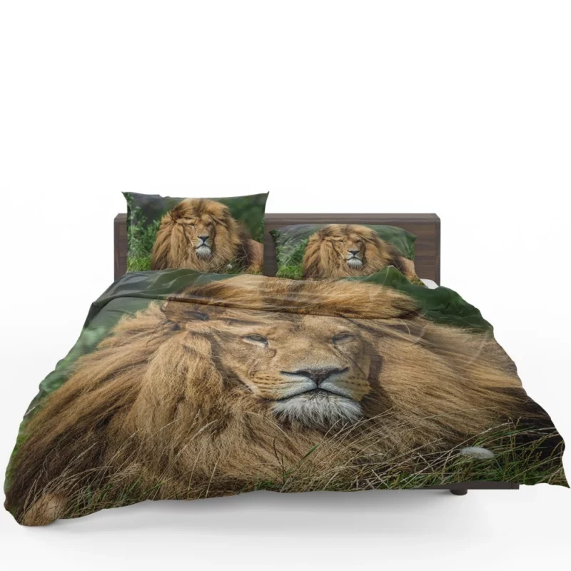 Lion Migratory Bedding Set