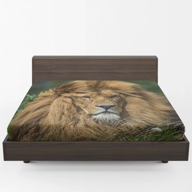 Lion Migratory Fitted Sheet