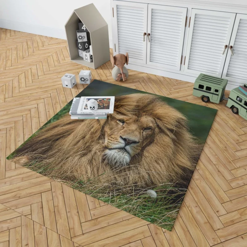 Lion Migratory Rug 1