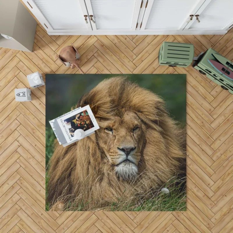 Lion Migratory Rug