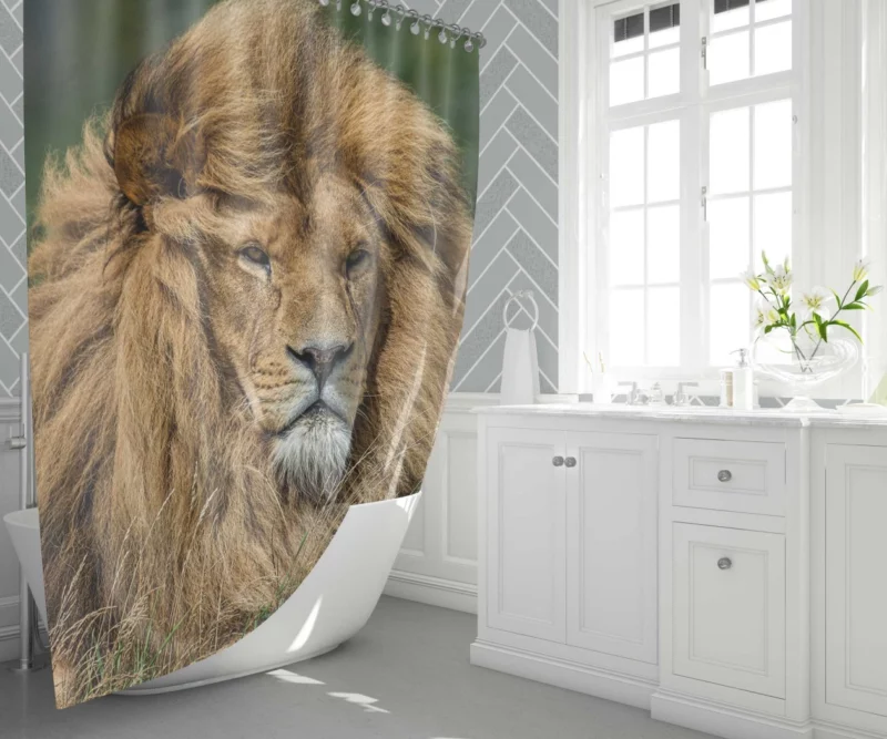 Lion Migratory Shower Curtain 1