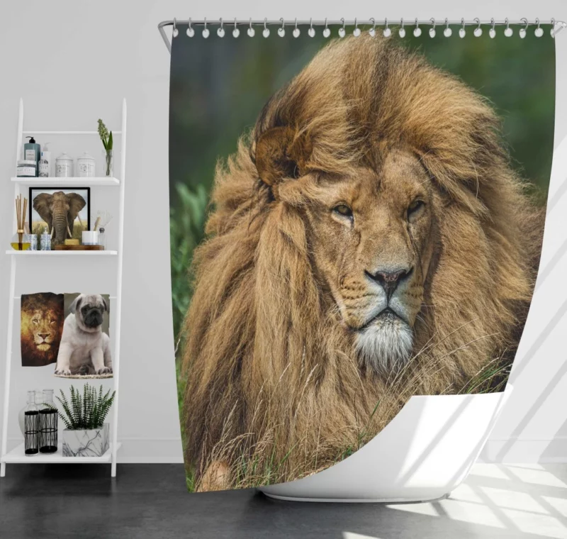 Lion Migratory Shower Curtain