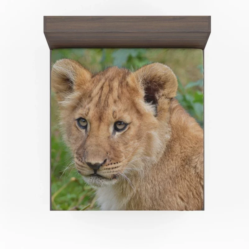 Lion Nocturnal Fitted Sheet 1