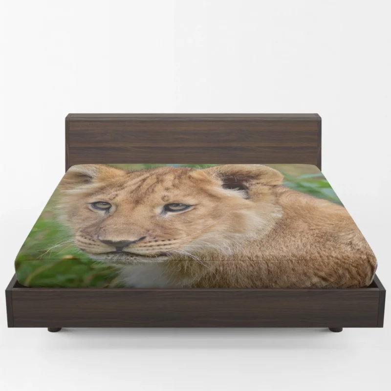 Lion Nocturnal Fitted Sheet