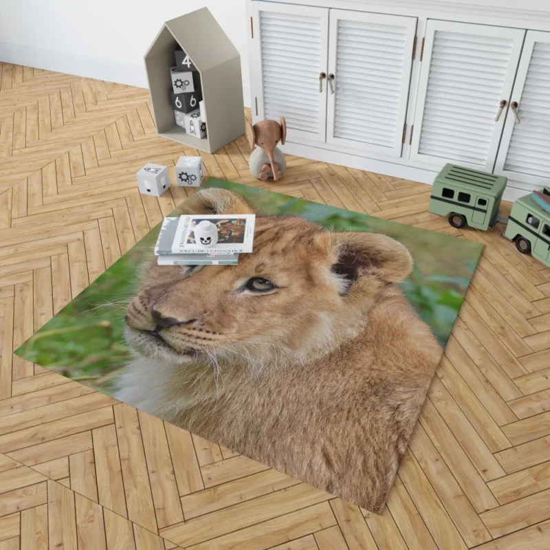 Lion Nocturnal Rug 1