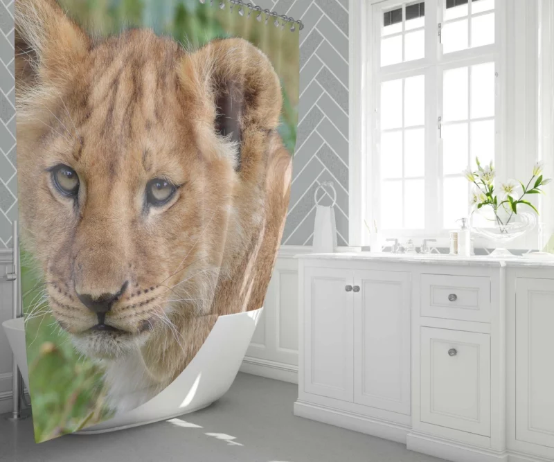 Lion Nocturnal Shower Curtain 1