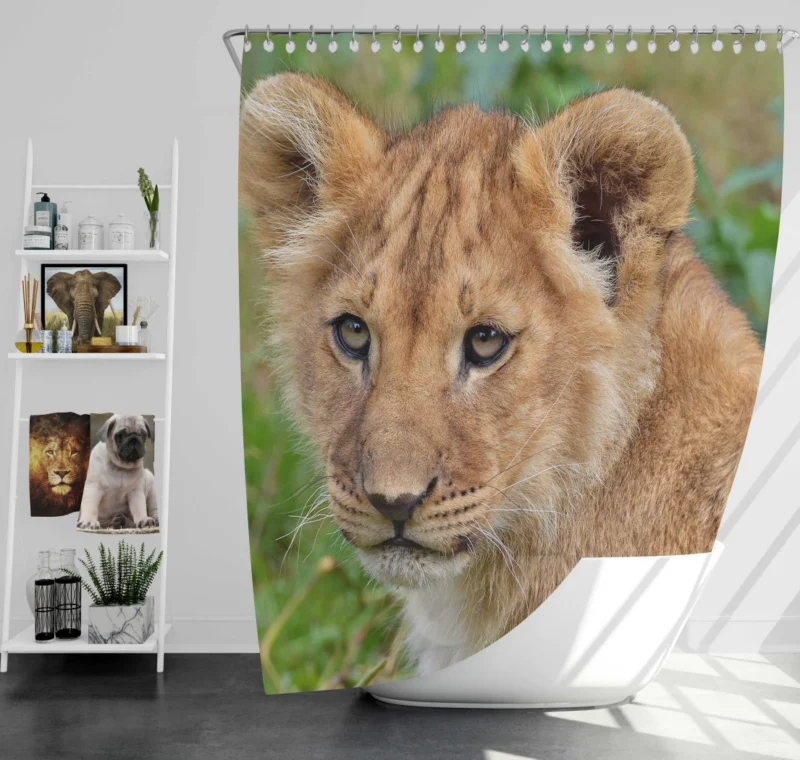 Lion Nocturnal Shower Curtain