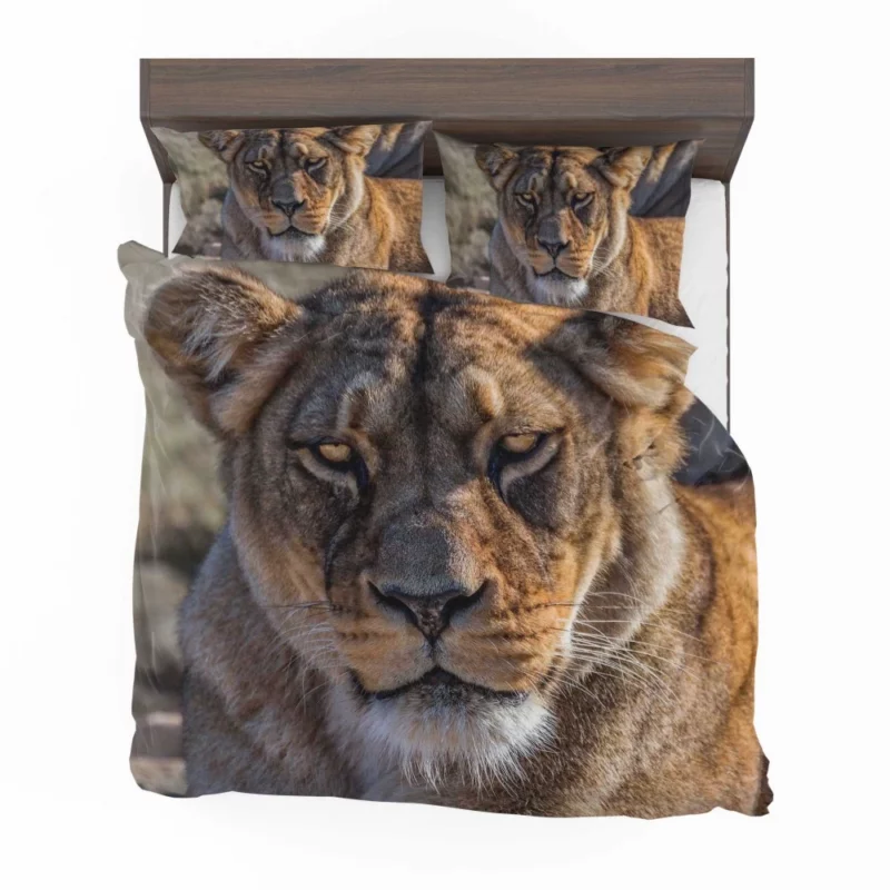 Lion Nomadic Bedding Set 1