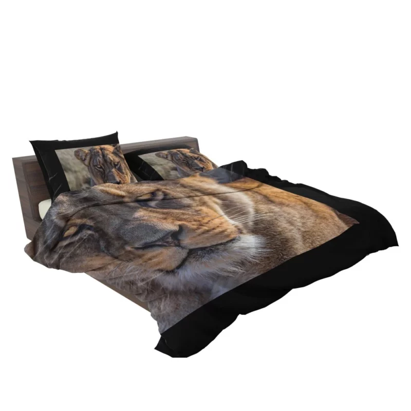 Lion Nomadic Bedding Set 2