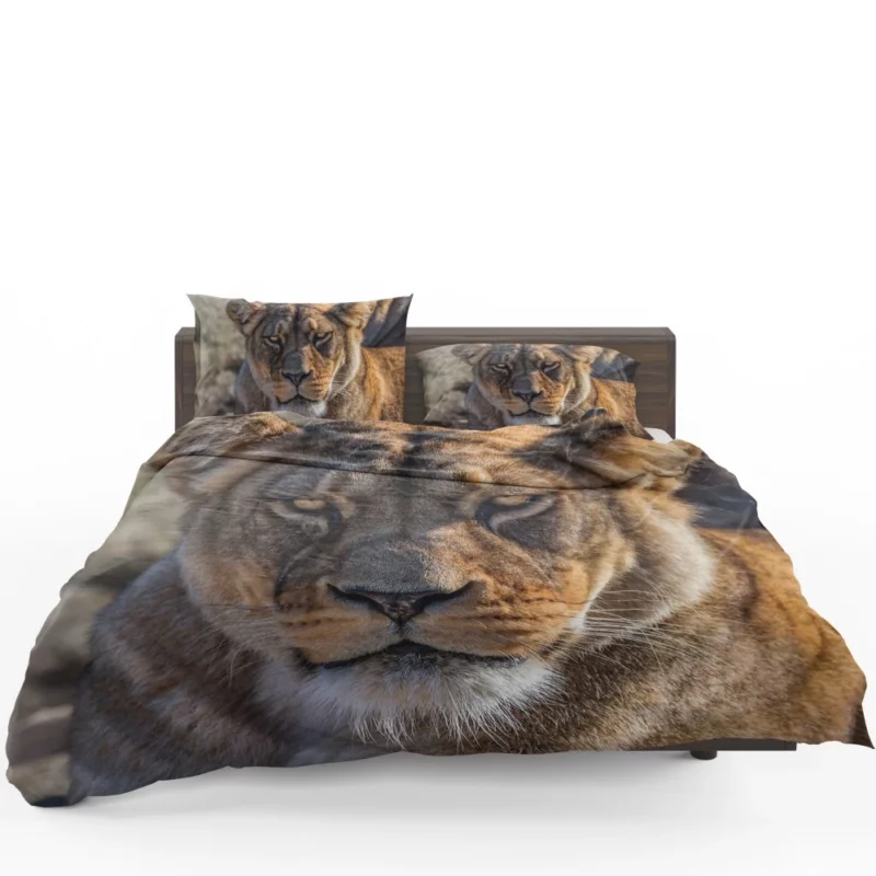 Lion Nomadic Bedding Set