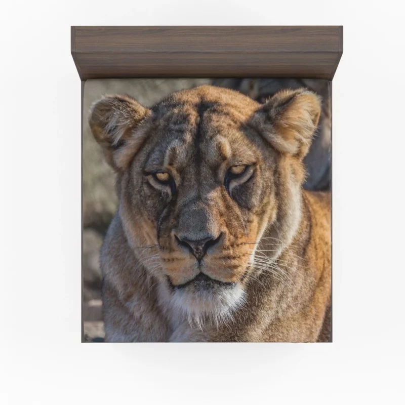 Lion Nomadic Fitted Sheet 1