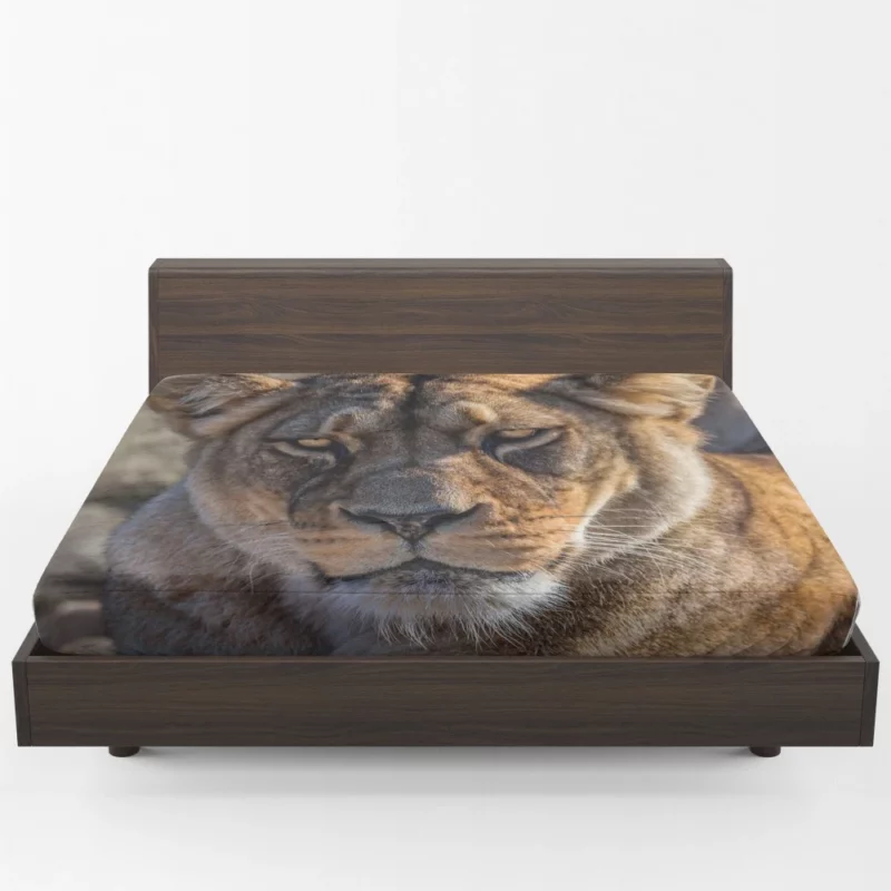 Lion Nomadic Fitted Sheet